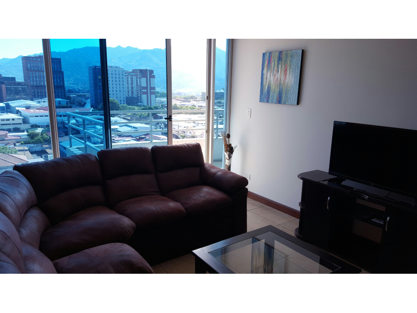 Furnished Condo For Rent In Torres Paseo Colon San Jose
